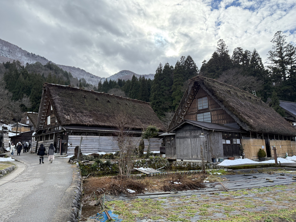 Photo captured at 2025-12-16T10:56:04.