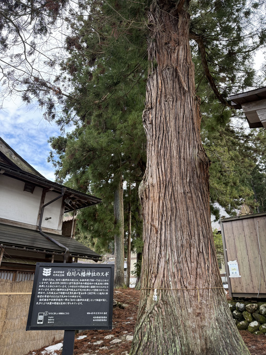 Photo captured at 2025-12-16T11:02:22.