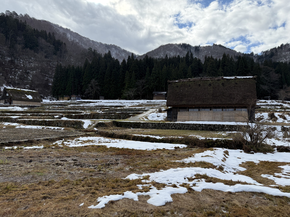 Photo captured at 2025-12-16T11:08:28.