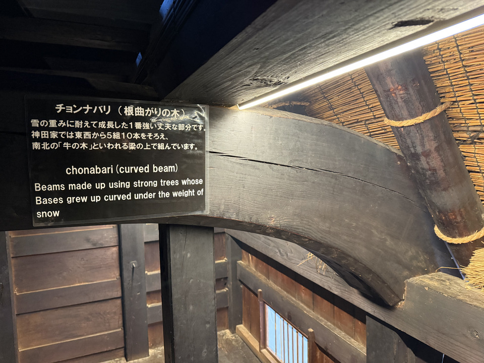 Photo captured at 2025-12-16T12:36:27.