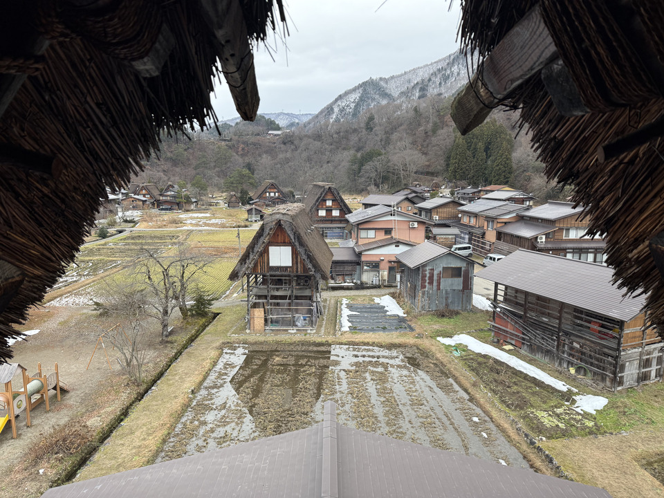 Photo captured at 2025-12-16T12:49:26.